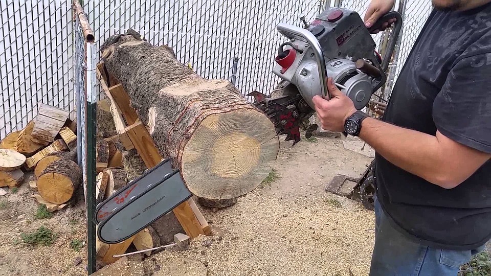 tree falling