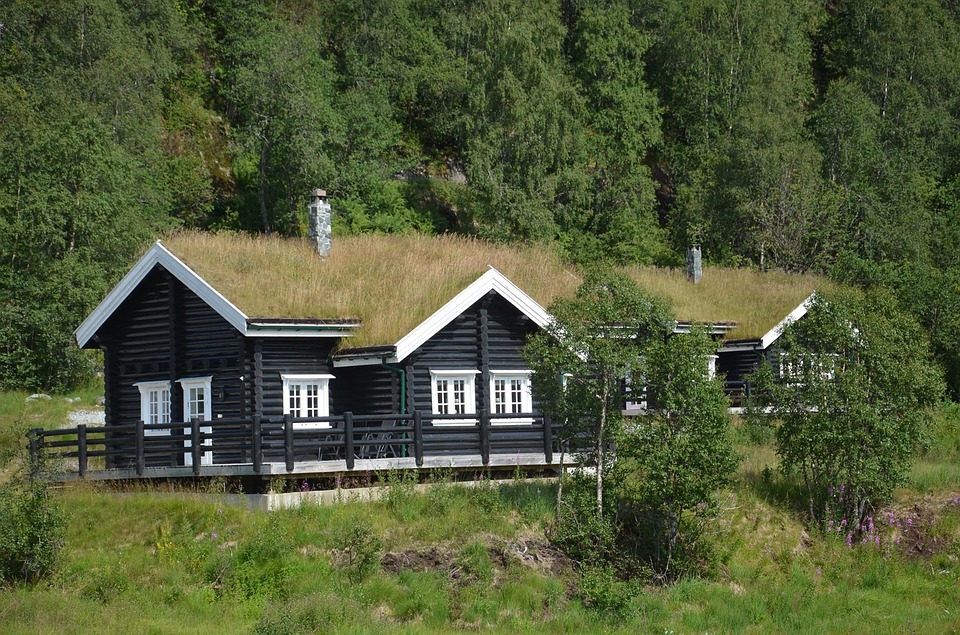 wooden home