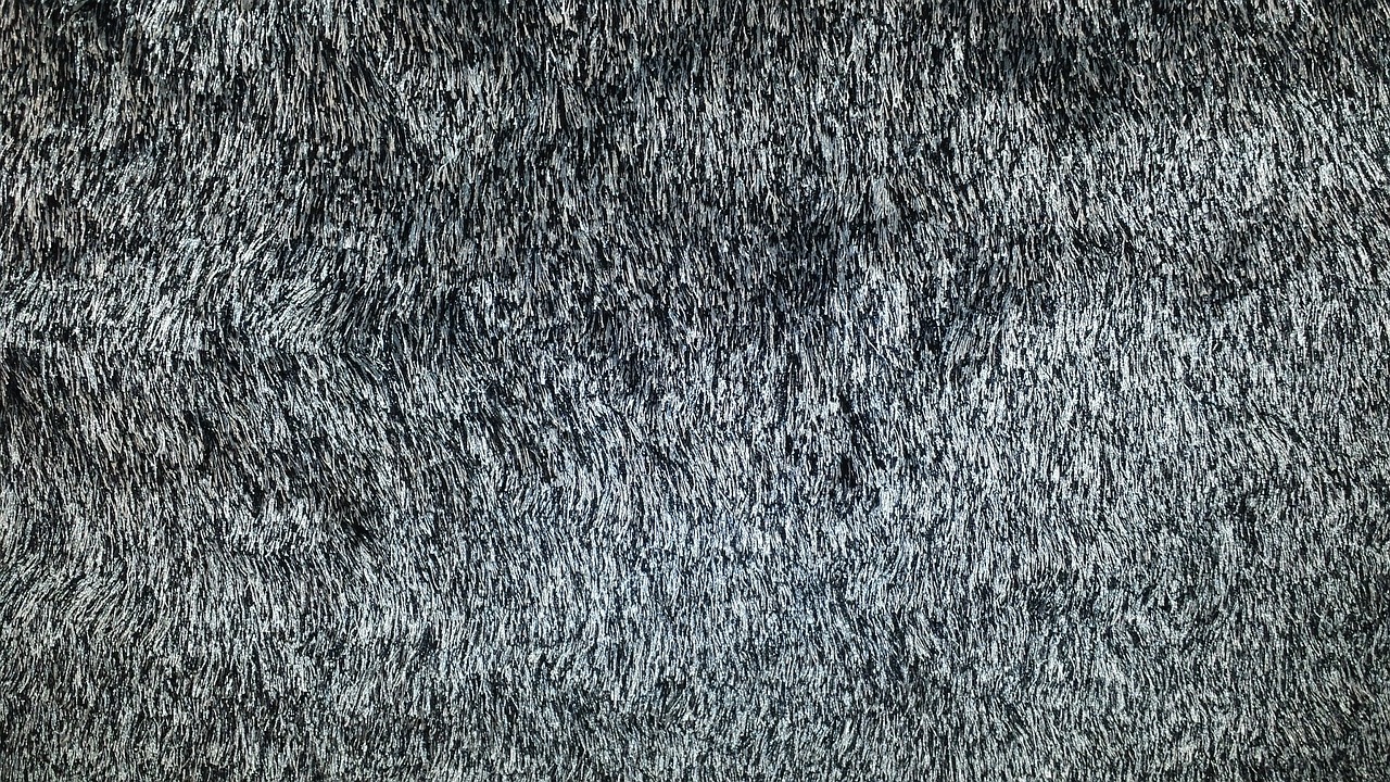 furry carpet