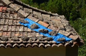 Roof Repair